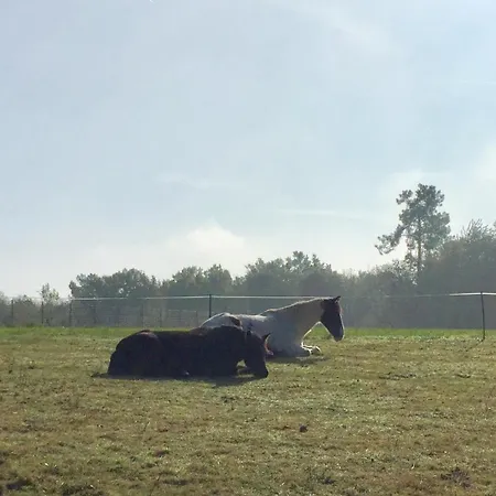 La Gaitrie 度假居 Messac (Charente-Maritime)