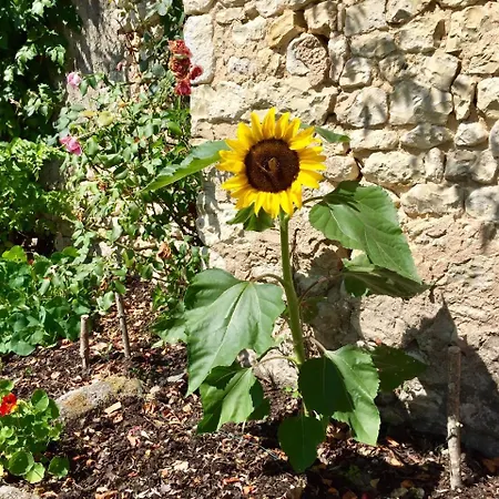 La Gaitrie 度假居