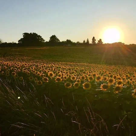 بيت للعطل La Gaitrie Messac (Charente-Maritime)