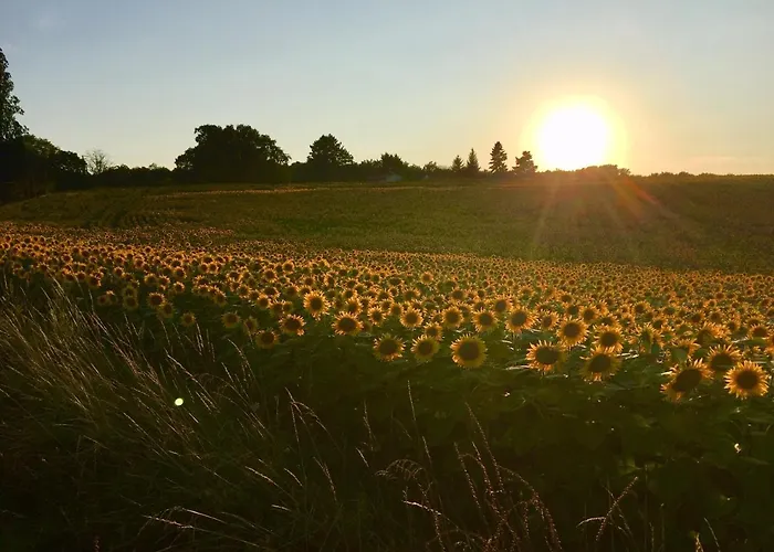 Hébergement de vacances La Gaitrie Messac (Charente-Maritime)
